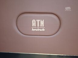 FIAT Ducato 5-Sitze ATM 2 Pferde Kamera Lüftung Haras