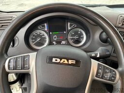 DAF CF 480 Kipper+HMF 2820