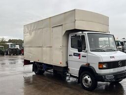 Mercedes-Benz Vario 814 (POMPE MANUELLE / MANUAL PUMP / LAMES...