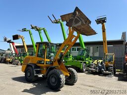 Terex TL 80 / SW