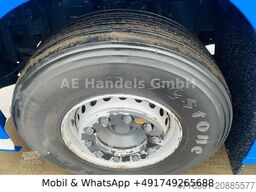 DAF XF 530 SSC BL *Retarder/2-Kreis-Hydr./Standklima