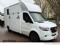 Mercedes-Benz 315 CDi Spinter Standard VA 1-2 Pferde