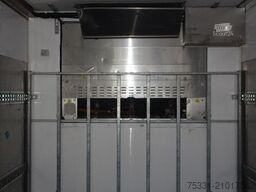 CHEREAU Carrier Vector HE19 MT  3650h