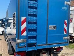 MAN TGL 8.180 EU6 Doka Koffer /Hydraulik/Wechselsyst