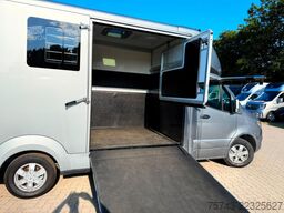 MERCEDES-BENZ STX Sprinter  GG 4,100KG  Haras Hengste