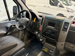 MERCEDES-BENZ Sprinter City 516 Niederflur Retarder Luft 1.H