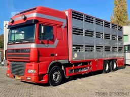 DAF XF 95.430 BERDEX  3 decks.  Water, fans, Scales...