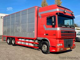 DAF XF 95.430 BERDEX  3 decks.  Water, fans, Scales...