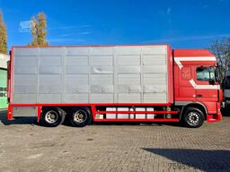 DAF XF 95.430 BERDEX  3 decks.  Water, fans, Scales...