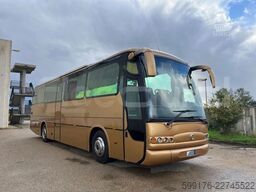 Iveco Domino