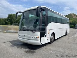 Iveco Domino