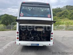 Iveco Domino