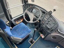 Iveco Domino