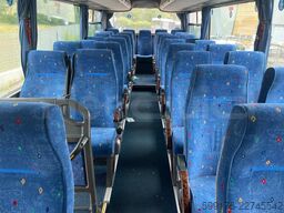 Iveco Domino
