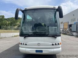 Iveco Domino