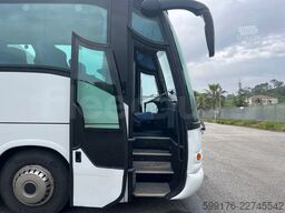 Iveco Domino