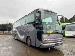 Iveco Domino