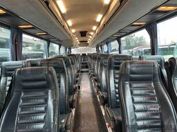 Iveco Domino