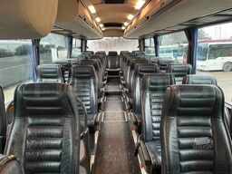 Iveco Domino