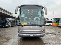 Iveco Domino