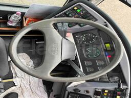 Iveco Domino