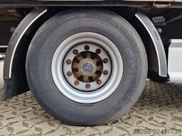 FLIEGL SZS320 / Hubdach / EDSCHA / Mega