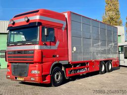 DAF XF 95.430 BERDEX 3 decks. Water, fans, Scales! ...
