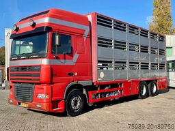 DAF XF 95.430 BERDEX 3 decks. Water, fans, Scales! ...