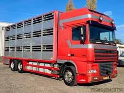 DAF XF 95.430 BERDEX 3 decks. Water, fans, Scales! ...