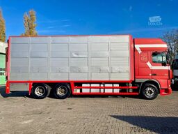 DAF XF 95.430 BERDEX 3 decks. Water, fans, Scales! ...