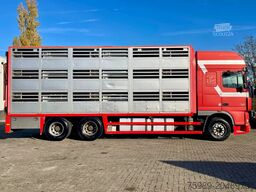DAF XF 95.430 BERDEX 3 decks. Water, fans, Scales! ...