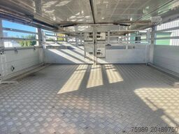 DAF XF 95.430 BERDEX 3 decks. Water, fans, Scales! ...