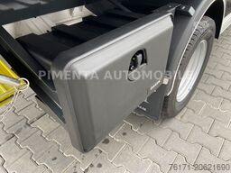 VOLKSWAGEN Crafter 50 3-S-KIPPER KISTE AHK NAVI KLIMA TEMPO