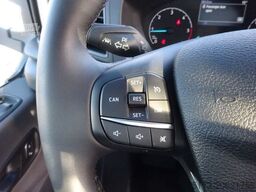 FORD Transit 350L3 Kipper Winterdienst Schild+Streue