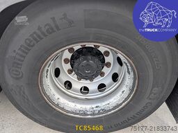 MAN TGX 500
