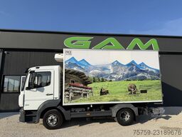 Mercedes-Benz Atego 821 ISO-Koffer mit Carrier -20°C