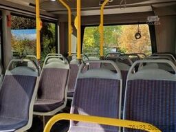 MERCEDES-BENZ Frontniederflur Sprinter 515/517 Daily