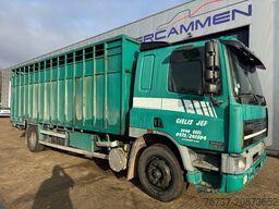 DAF 65.210 **BELGIAN TRUCK-FULL STEEL**