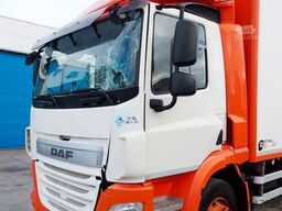 DAF CF 320 FLEISH + LIFT Daycab