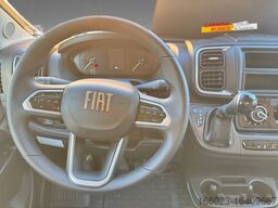 DETHLEFFS Globetrail 540 DR Fiat
