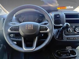 DETHLEFFS Globetrail 540 DR Fiat