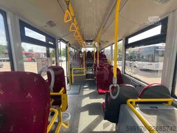 Man Lion's City