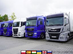 MAN TGX 26.470 / 2022 / Multitemperature