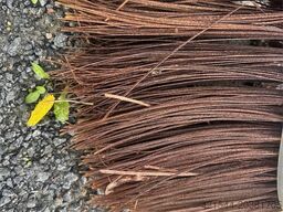 Holms PH/300-2.5 sweeping broom