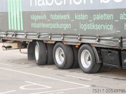 SCHWARZMÜLLER JUMBO GARDINE SCHWANENHALS LENKACHSE BPW