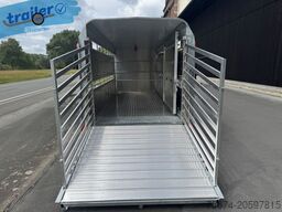 Ifor Williams Viehanhänger TA510G 16x6 494x178cm Höhe: 182cm 3,5t