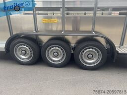 Ifor Williams Viehanhänger TA510G 16x6 494x178cm Höhe: 182cm 3,5t