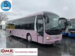 MAN R 12 Lions Regio