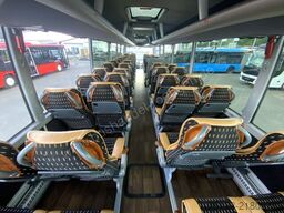 MAN R 09 Lion´s Coach C