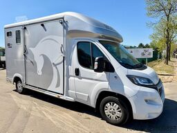 Peugeot Equi-Trek Sonic SW35P HORSE TRUCK (2) PAARDENCA...